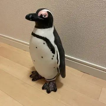 페버릿 케이프펭귄 비닐 모델