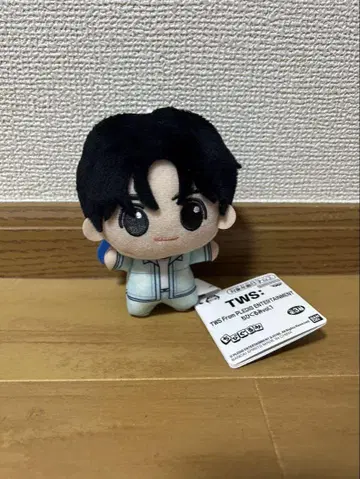 TWS 투아스 SD 인형 HANJIN 한진 남코 한정판