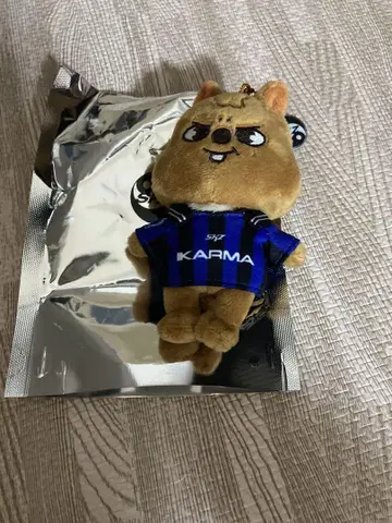 straykids 스키즈 KARMA skzoo 한쿼카 새상품