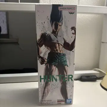 HUNTER x HUNTER 곤/모든 펜 피규어
