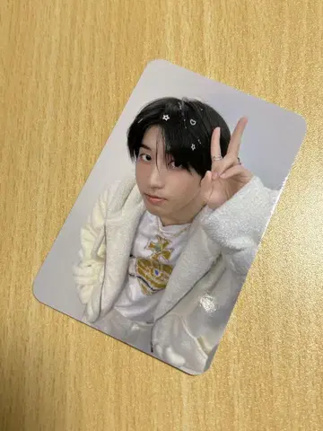 straykids 본국 팬미팅 클리어 파우치 트레이딩 카드만 한지성