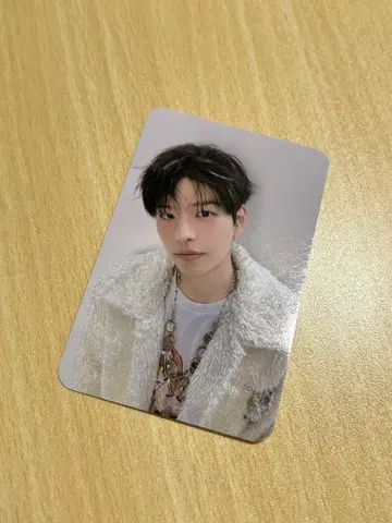 straykids 본국 팬미팅 클리어 파우치 트레이딩 카드 승민
