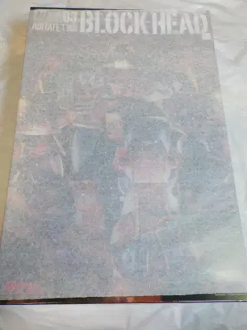 맥스팩토리 아비테이트 T10B 블록헤드 태양의 송곳니 다그람