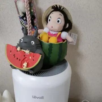이웃집 토토로 플랜터 커버 수박밭에서