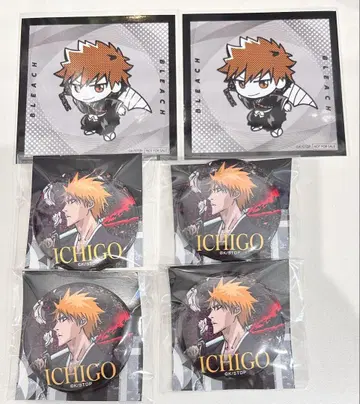 BLEACH 쿠로사키 이치고