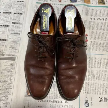 스코치 그레인 내깃털 플레인토 브라운 24.0 EE 슈키퍼 포함