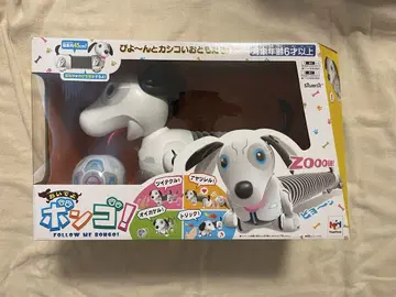 이리 와 봉고!