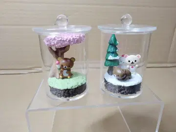 리락쿠마 계절의 테라리움