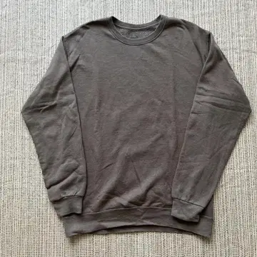 FRUIT OF THE LOOM 스웨트셔츠 (L BROWN)
