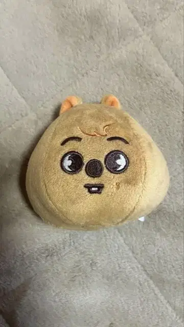 Straykids 한 쿼카 HAN QUOKKA 백참