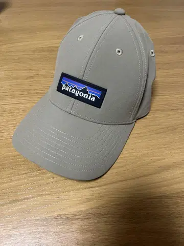 patagonia 베이지 캡 로고 포함