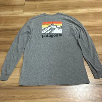 patagonia 파타고니아 p6 롱티 셔츠 M 사이즈