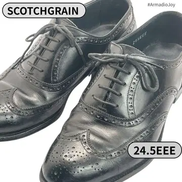 스코치 그레인 윙 팁 블랙 가죽 신발 24.5EEE 비즈니스
