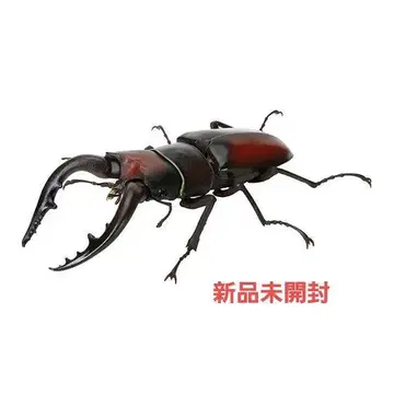 톱사슴벌레 본토갈색 생물대도감 사슴벌레06 미개봉 새상품