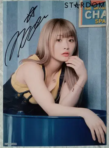 스타덤 나츠포이 세트