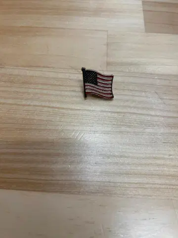 아메리카 합중국 핀 배지