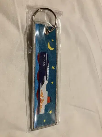 오아라이 도마코마이 선플라워 페리 크루즈 택