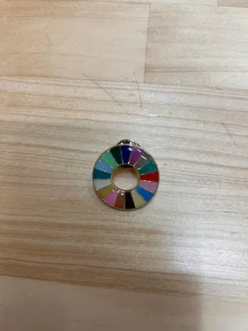 SDGs 컬러 전개 핀 배지