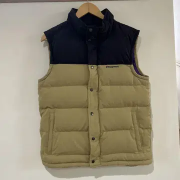 patagonia 다운 베스트