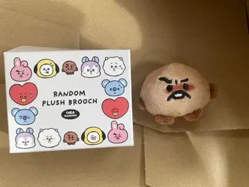 BT21 TODAY'S FACE 페이스 브로치