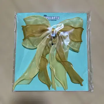 HYBE 황춘 헤어 클립