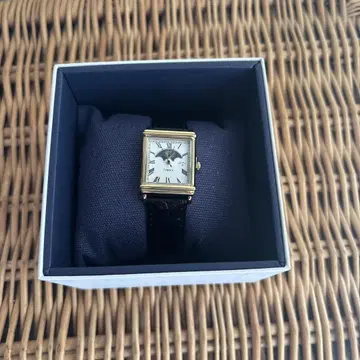 noah x timex sun and moon watch