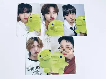 TRENDZ 트레이딩 카드 CHAMELEON 5장 세트 62