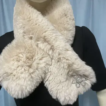 엠즈 그레이시의 퍼