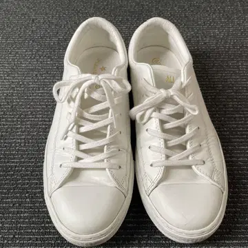 [고품질] 컨버스 ALL STAR COUPE OX 화이트 23.0