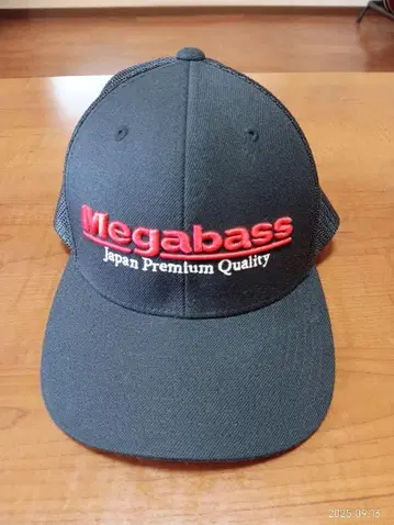 Megabass 메쉬 캡 블랙