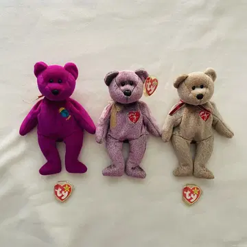 [ ty ] 봉제 인형 곰 3체 세트 [  ]