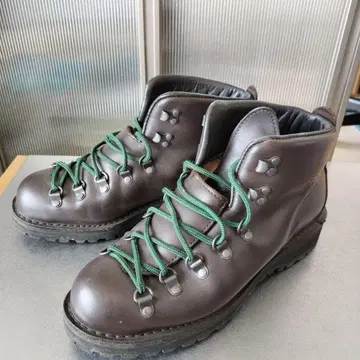 Danner Mountain Light II 브라운