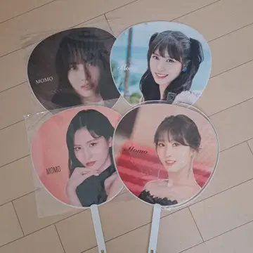MOMO 부채 4장 세트