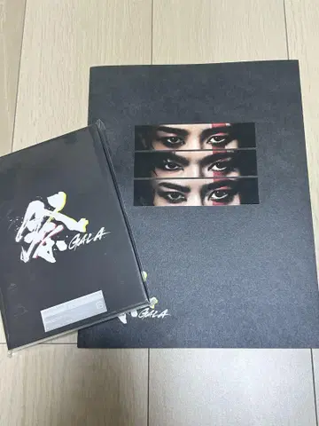 GALA 축제 초회반 DVD 팜플렛