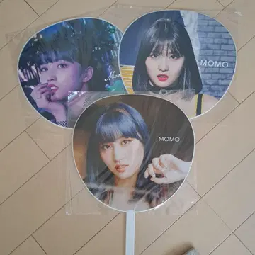 MOMO 부채 3개 세트