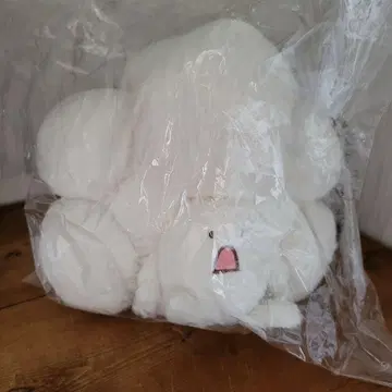 포콘즈