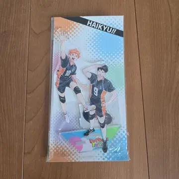하이큐 히나타 쇼요 카게야마 토비오 아크릴 피규어 키 비주얼 팬파크