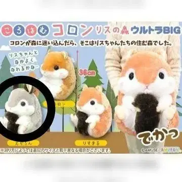 AMUFUN 코로하무 콜론 다람쥐의 숲 울트라 BIG 봉제 인형 에조롱