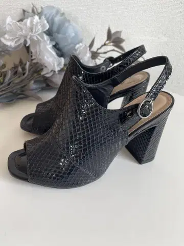 dakota 샌들 23cm 블랙 브라질산