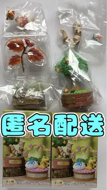 숲의 작은 이야기 시리즈 완철포 콜로보시&뜨아거