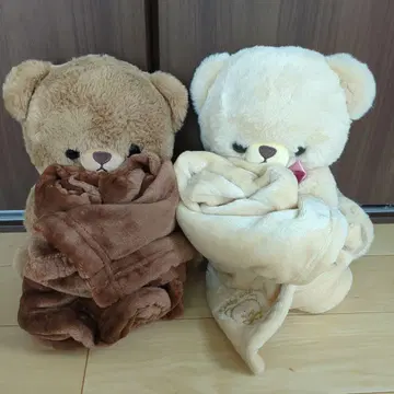 다이토 한정판 따뜻한 곰돌이 담요 포함 2개 세트