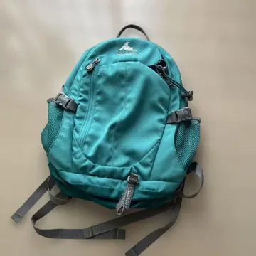 GREGORY 백팩 터콰이즈