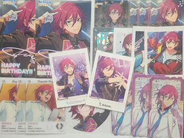 앙스타 사에구사 이바라 묶음 판매