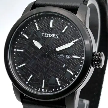 CITIZEN CHARI&CO 쿼츠 데이데이트 손목시계 남성용 블랙