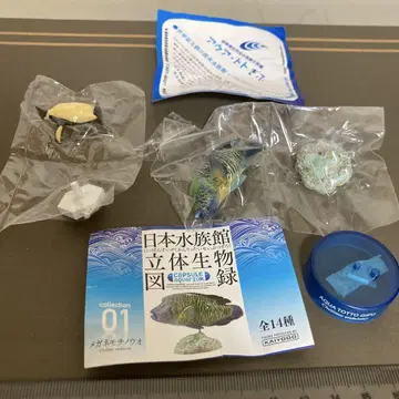 일본 수족관 입체 생물 도감 안경모치우오