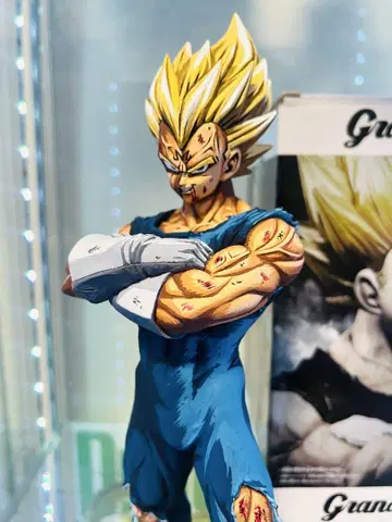 한정판 이차원 채색 그란디스타 베지터!