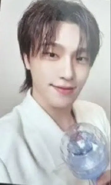 디노 carat zone 트레이딩 카드 seventeen 세부치