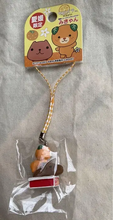 에히메 한정판 미컁 카피바라 씨