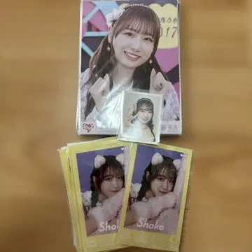 이코라부 타키와키 쇼코 브로마이드 미니 사진 ID 사진 묶음 판매