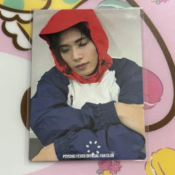 코하츠 시 트레이딩 카드